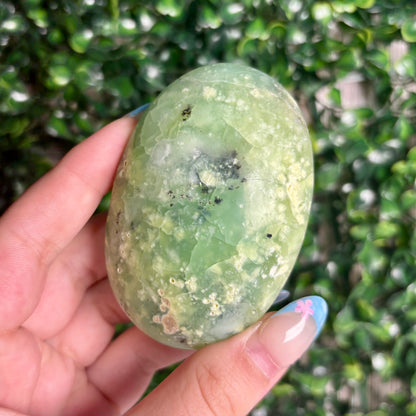 GREEN CHRYSOPASE PALMSTONES