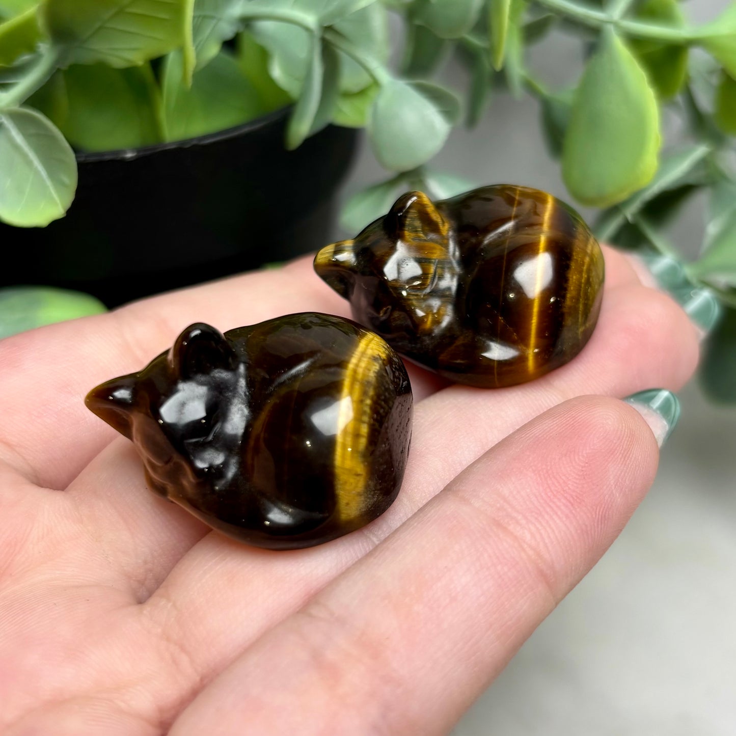 TIGERS EYE SLEEPING CAT