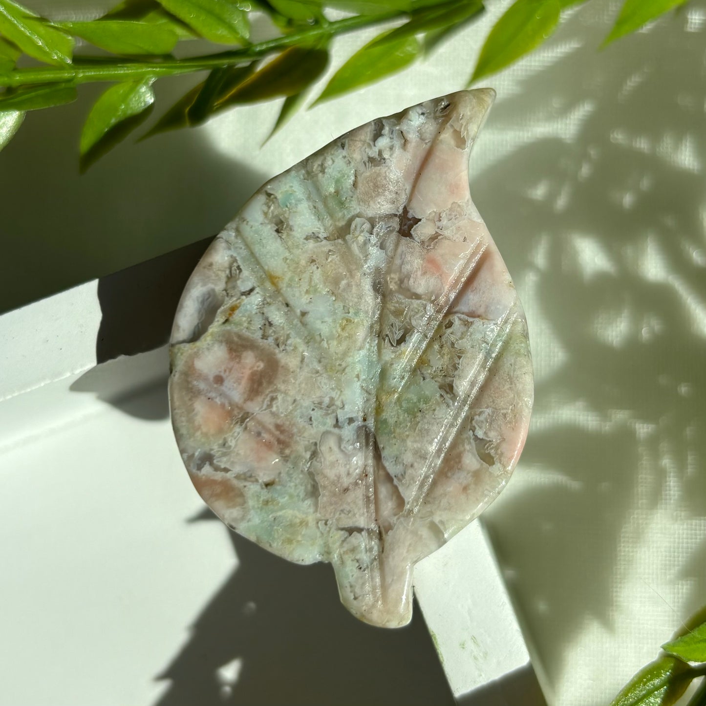 FLOWER AGATE LEAVES