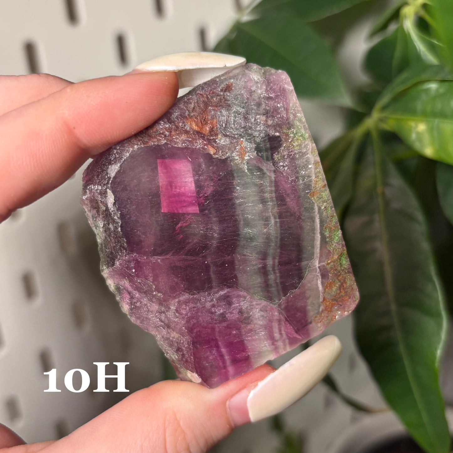 FLUORITE SLABS