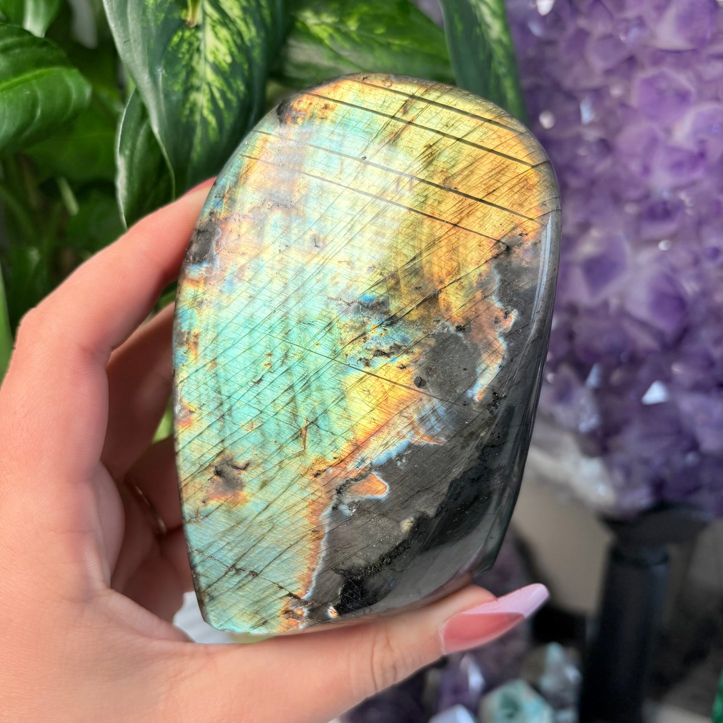 LABRADORITE FREEFORMS