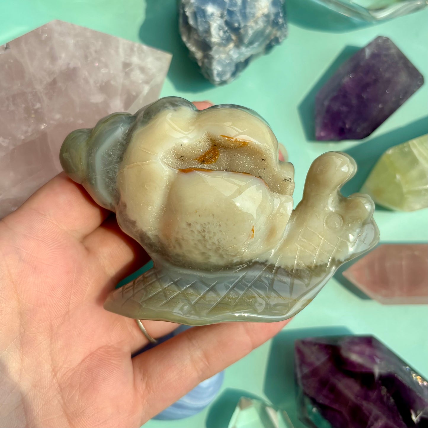 AGATE DRUZY SNAILS