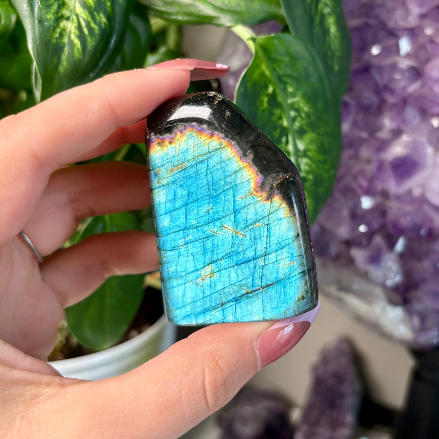 LABRADORITE FREEFORMS