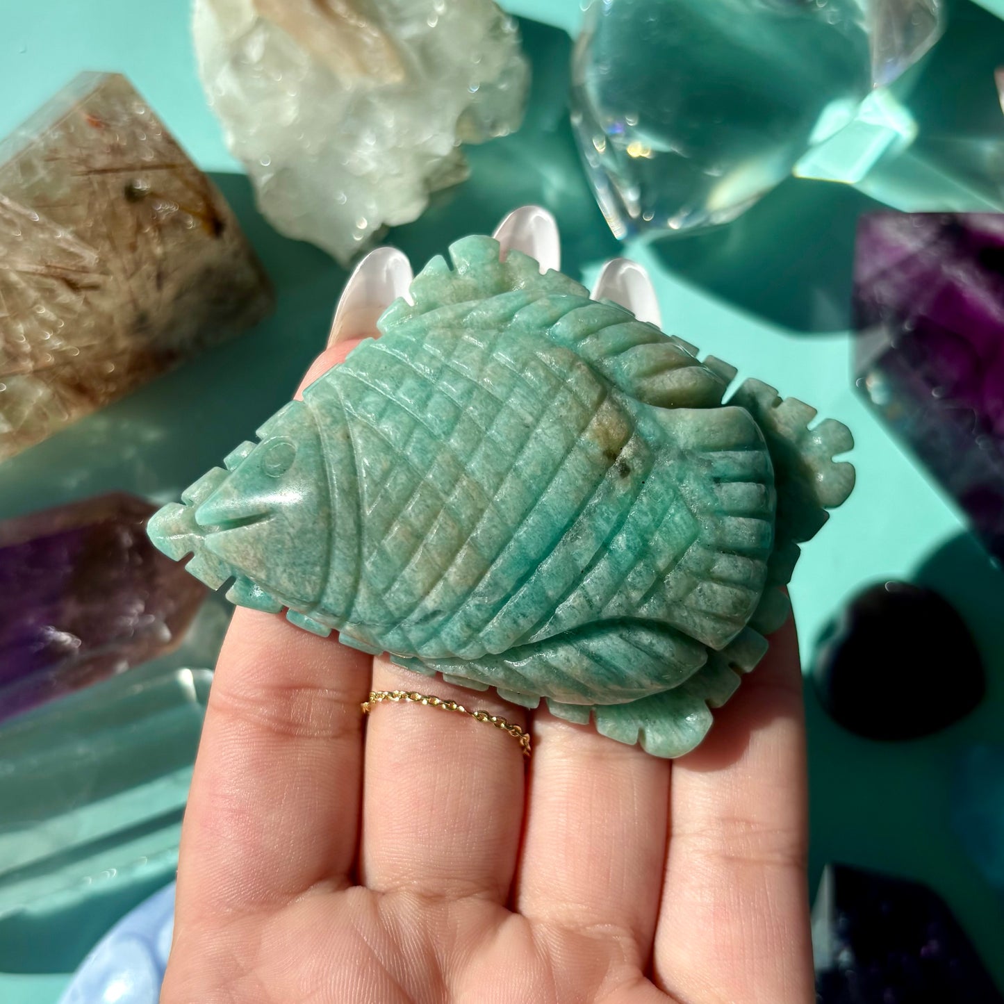 AMAZONITE SEA CREATURES