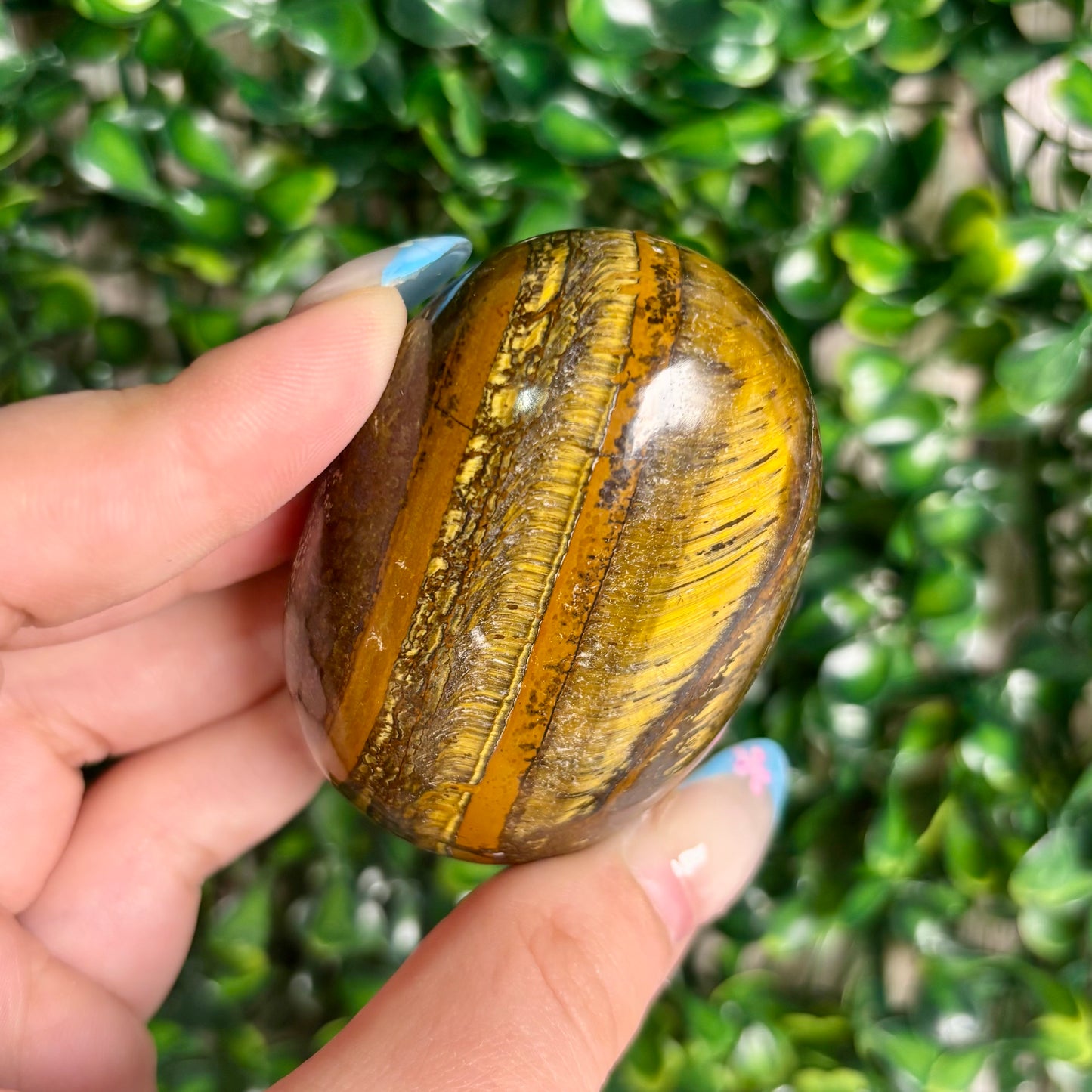 TIGERS EYE PALMSTONES