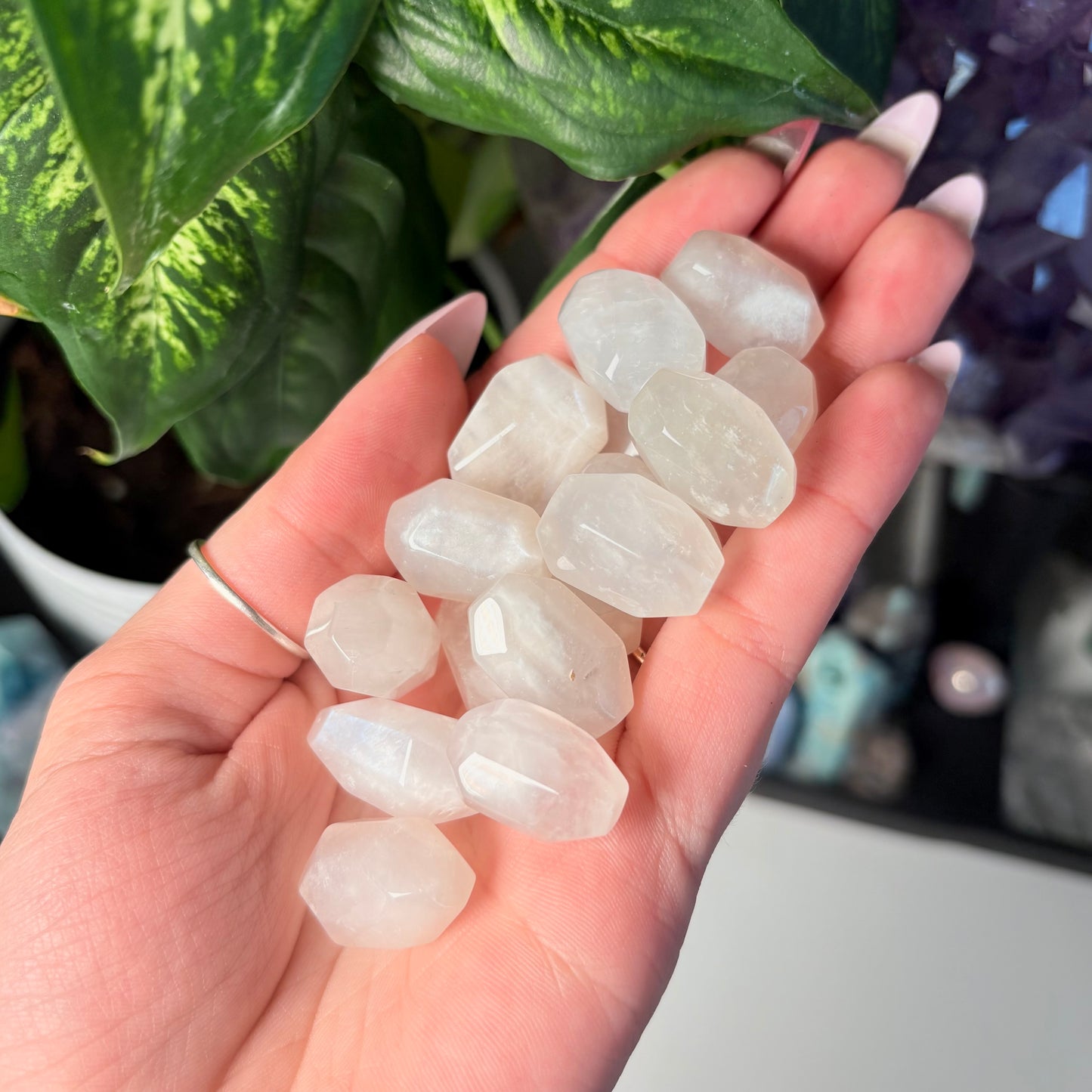 MOONSTONE GUSHER