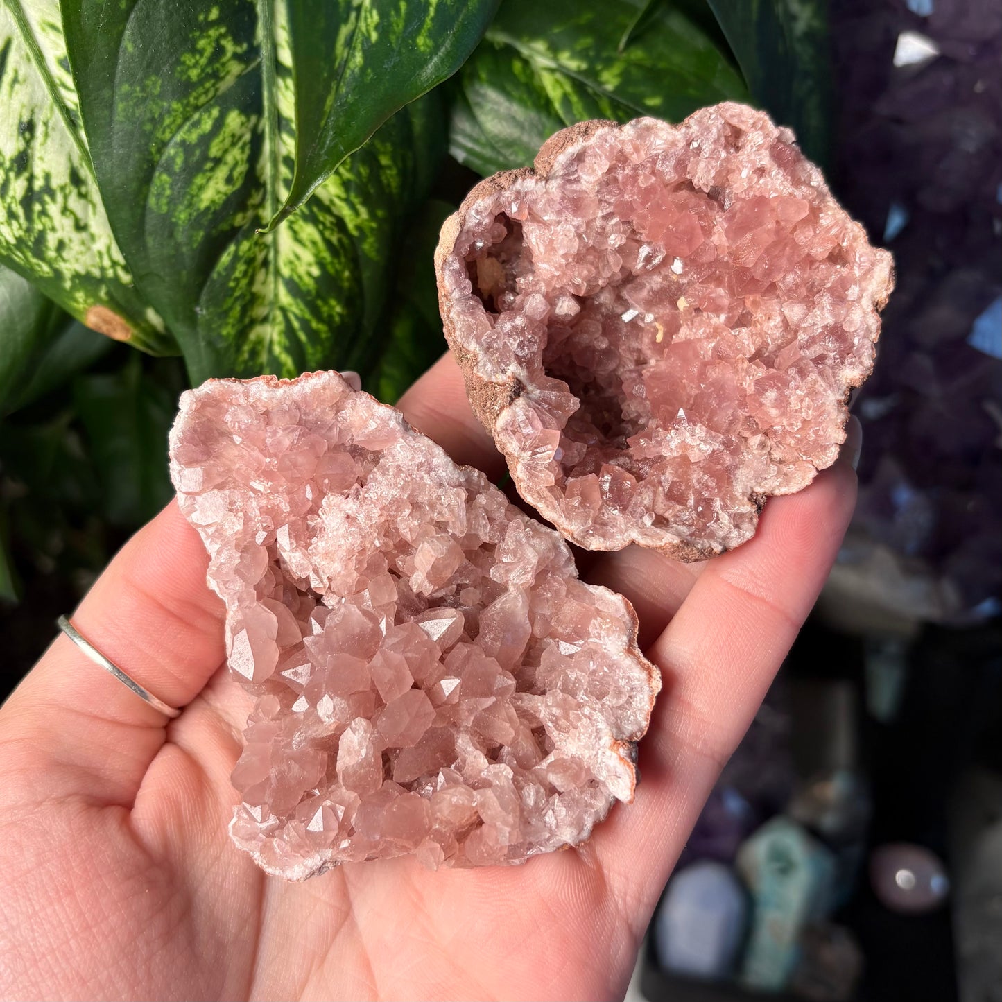 PINK AMETHYST GEODE