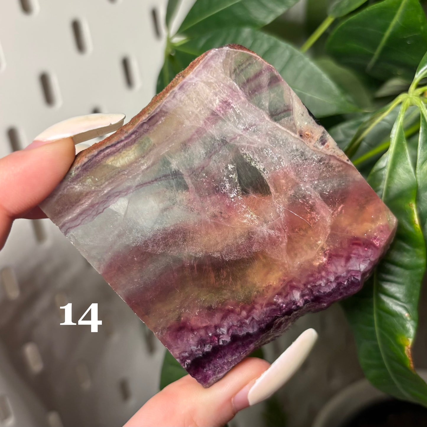 CANDY FLUORITE SLABS