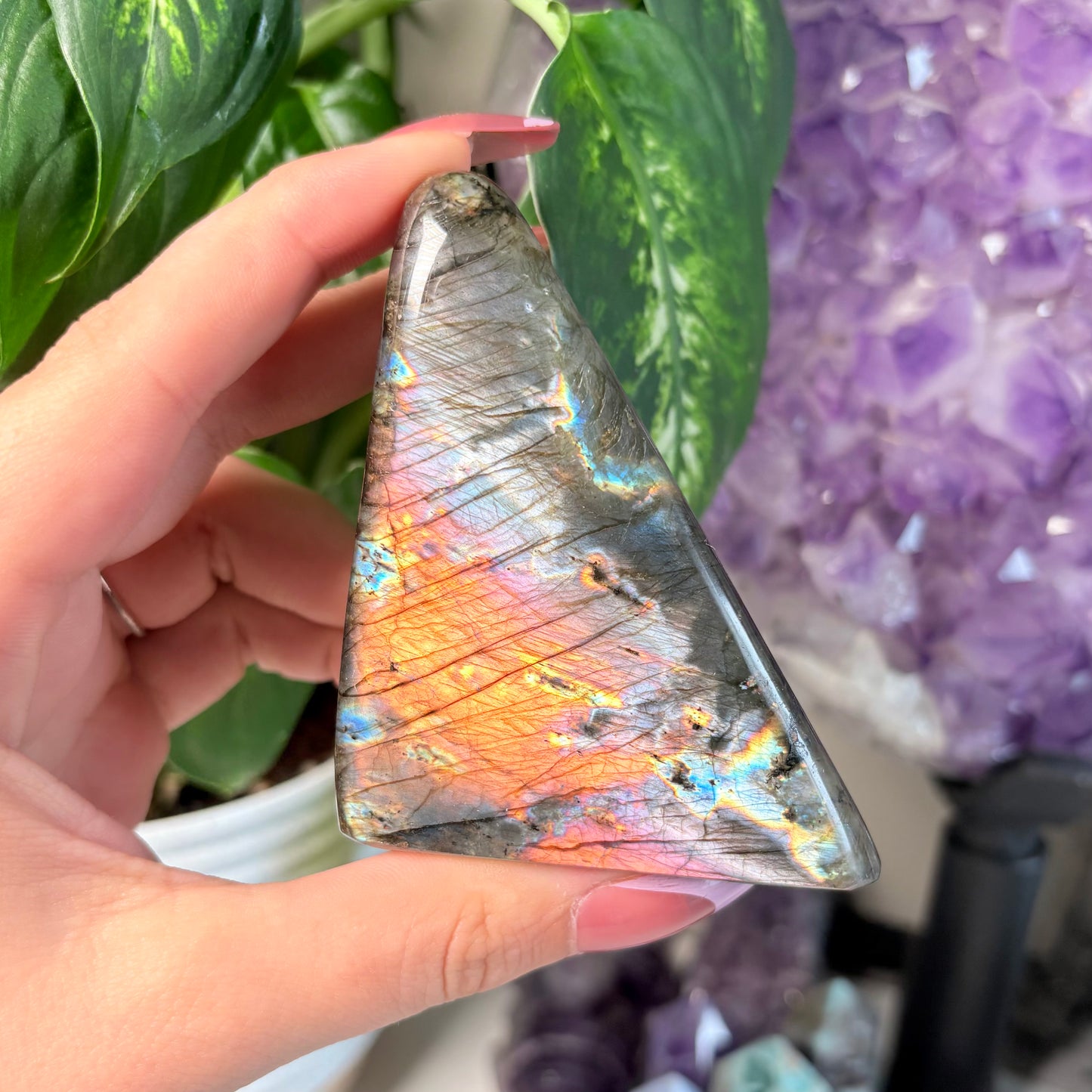 LABRADORITE FREEFORMS