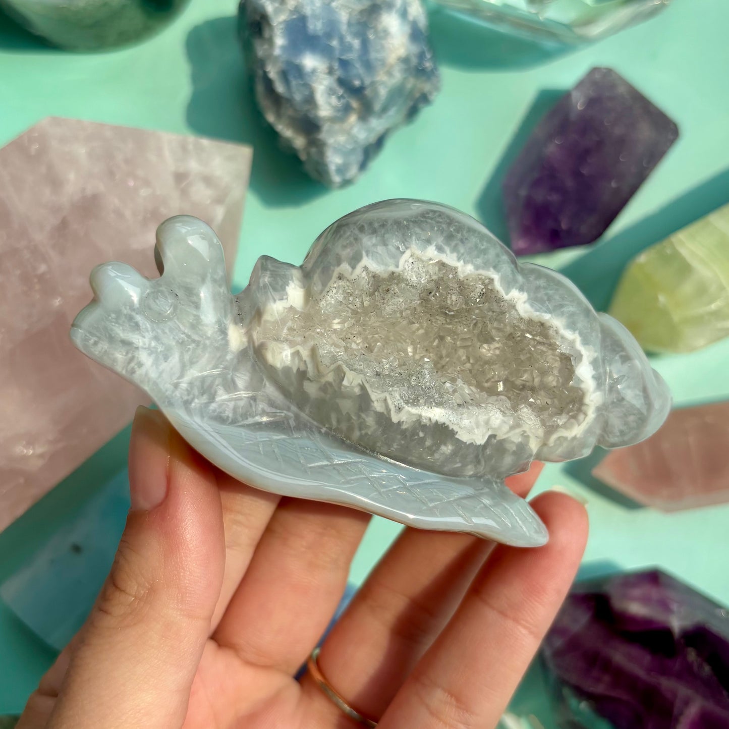 AGATE DRUZY SNAILS