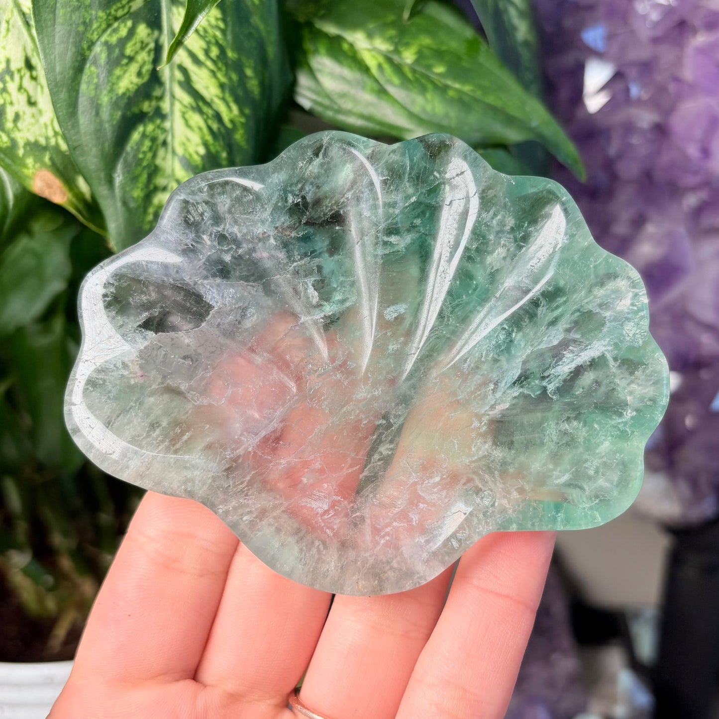 FLUORITE SEASHELL BOWLS