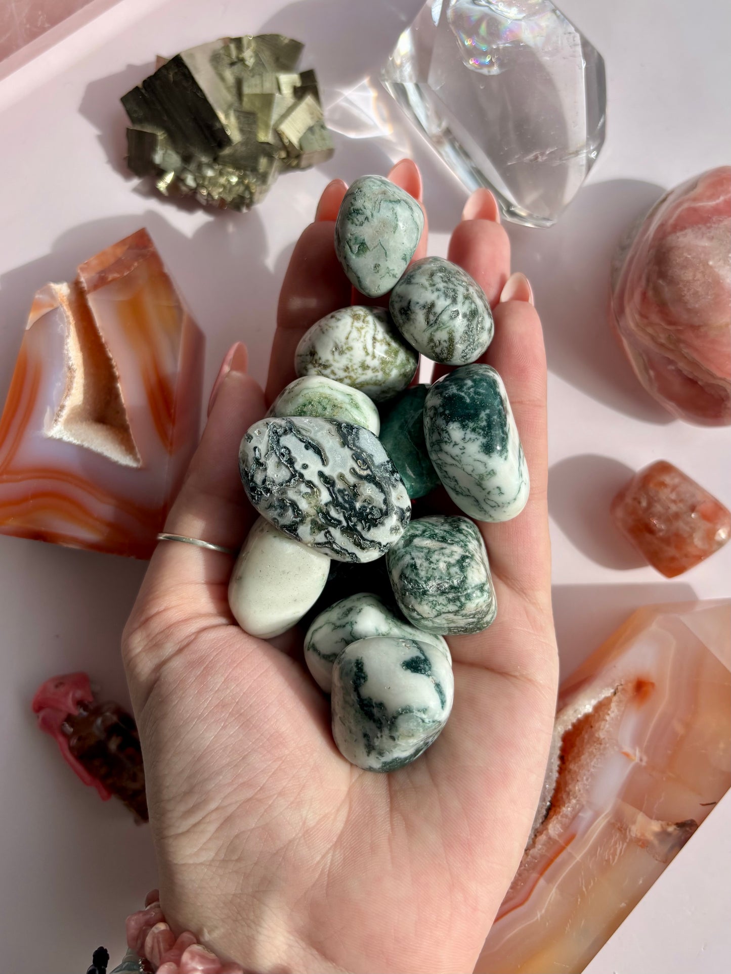 TREE AGATE TUMBLE