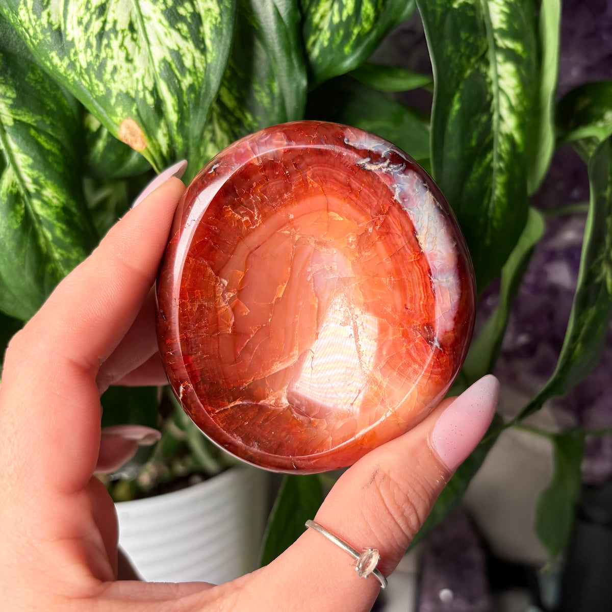 CARNELIAN BOWLS