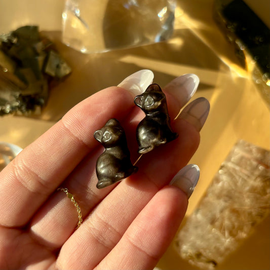 SILVER SHEEN OBSIDIAN CAT