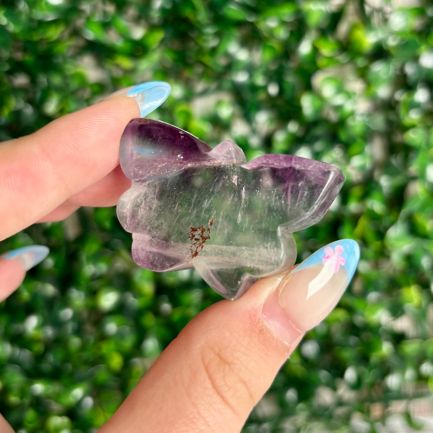 FLUORITE BUTTERFLY