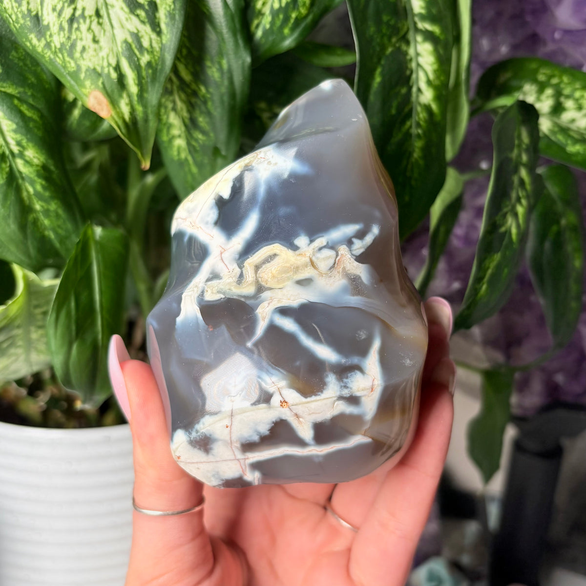 ORCA AGATE FLAMES