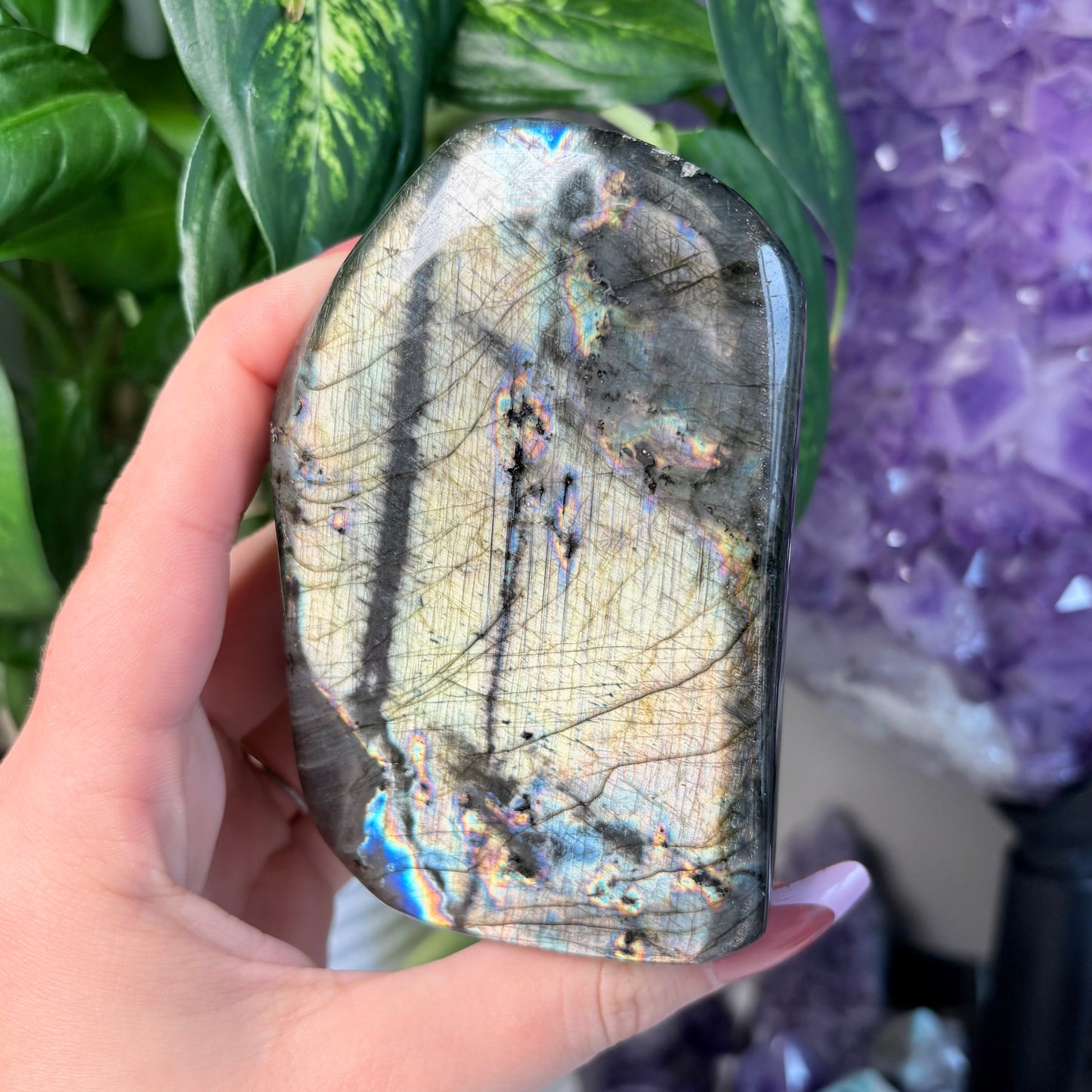 LABRADORITE FREEFORMS