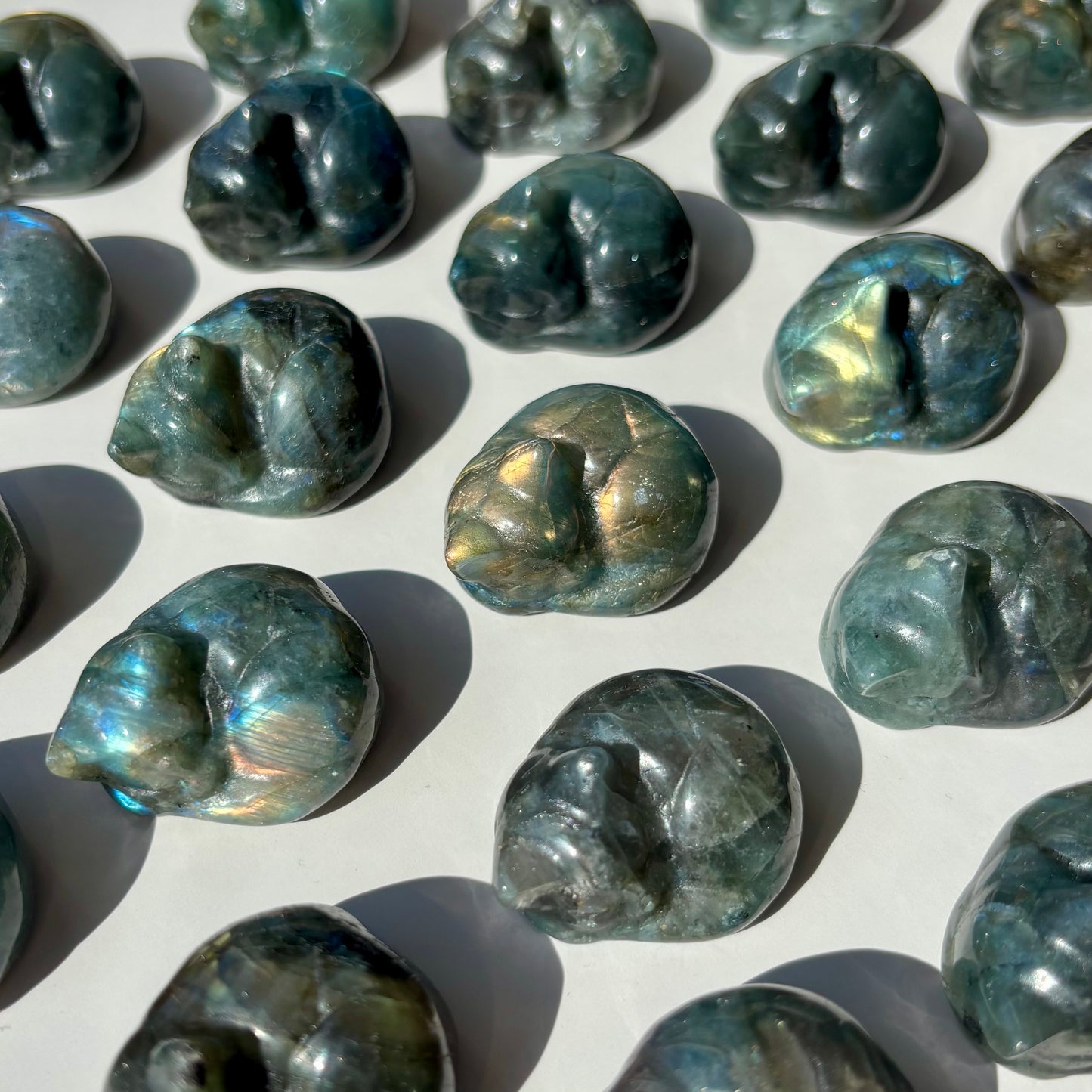 LABRADORITE CAT