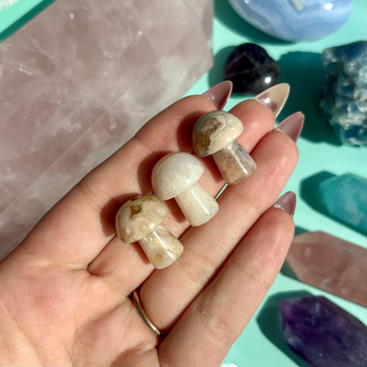 FLOWER AGATE MUSHROOM - MINI