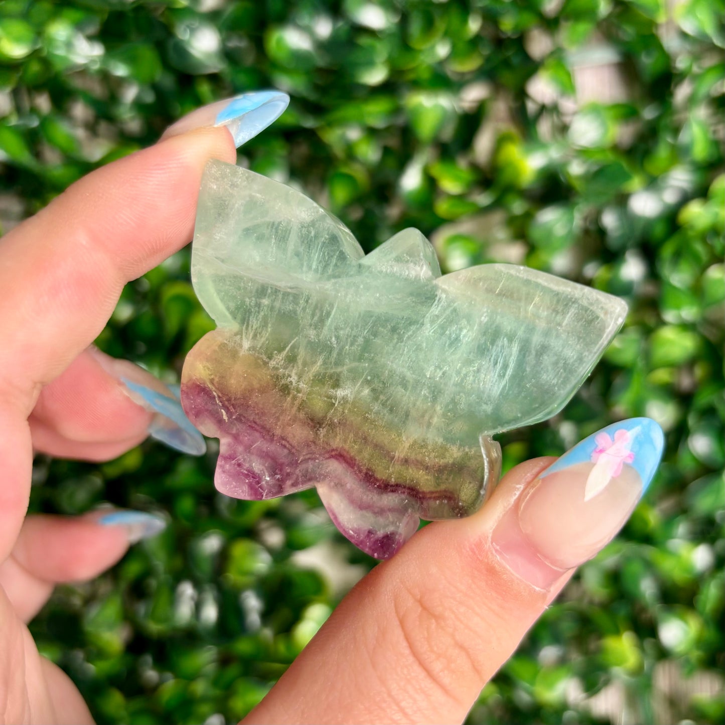 FLUORITE BUTTERFLY