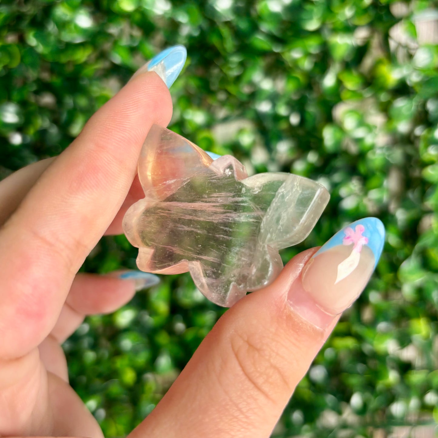 FLUORITE BUTTERFLY