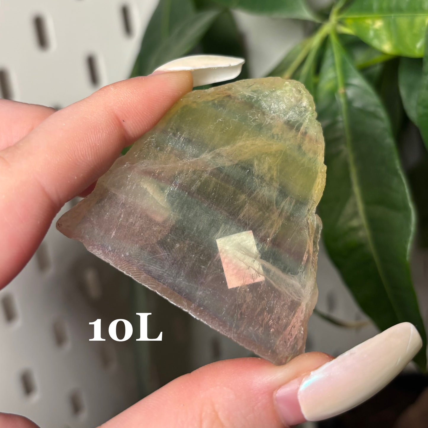 FLUORITE SLABS