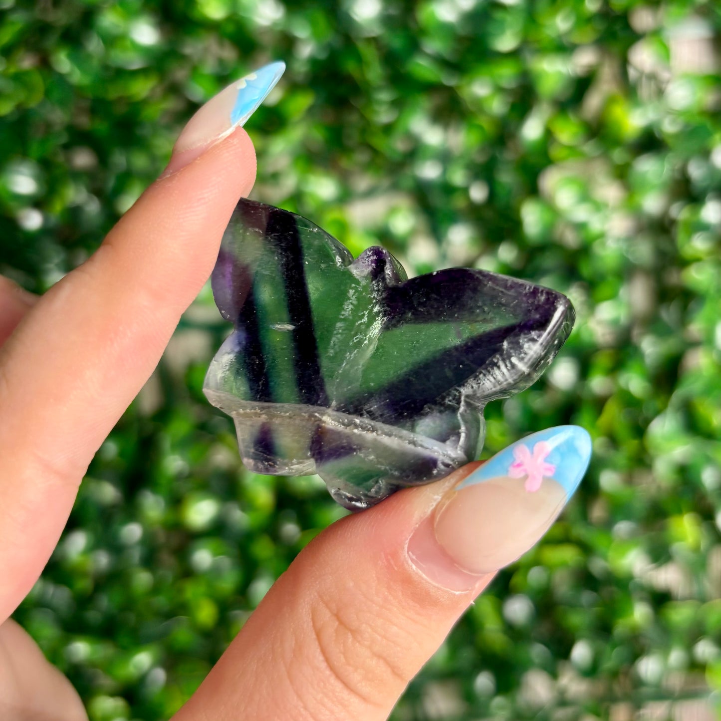 FLUORITE BUTTERFLY