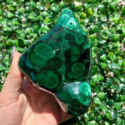 MALACHITE FREEFORMS