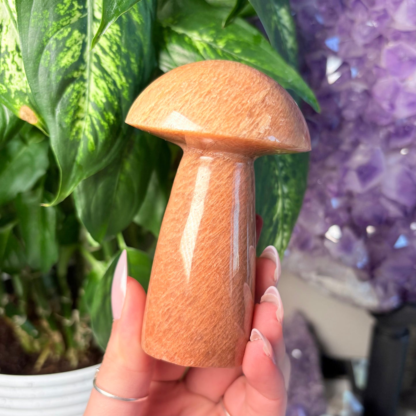 PEACH MOONSTONE MUSHROOM