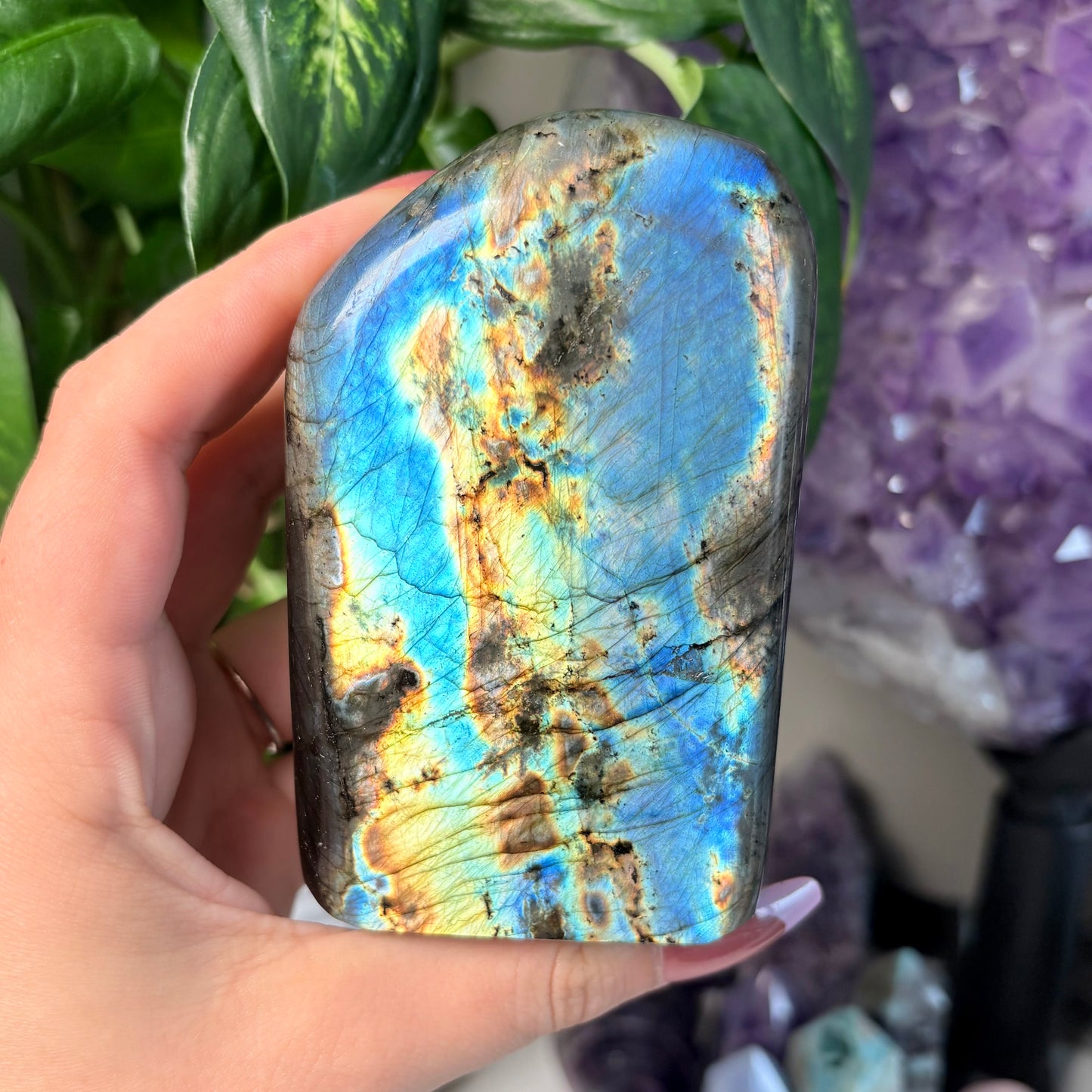 LABRADORITE FREEFORMS