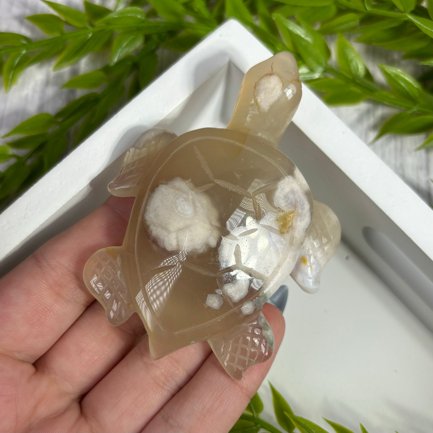 FLOWER AGATE TURTLES