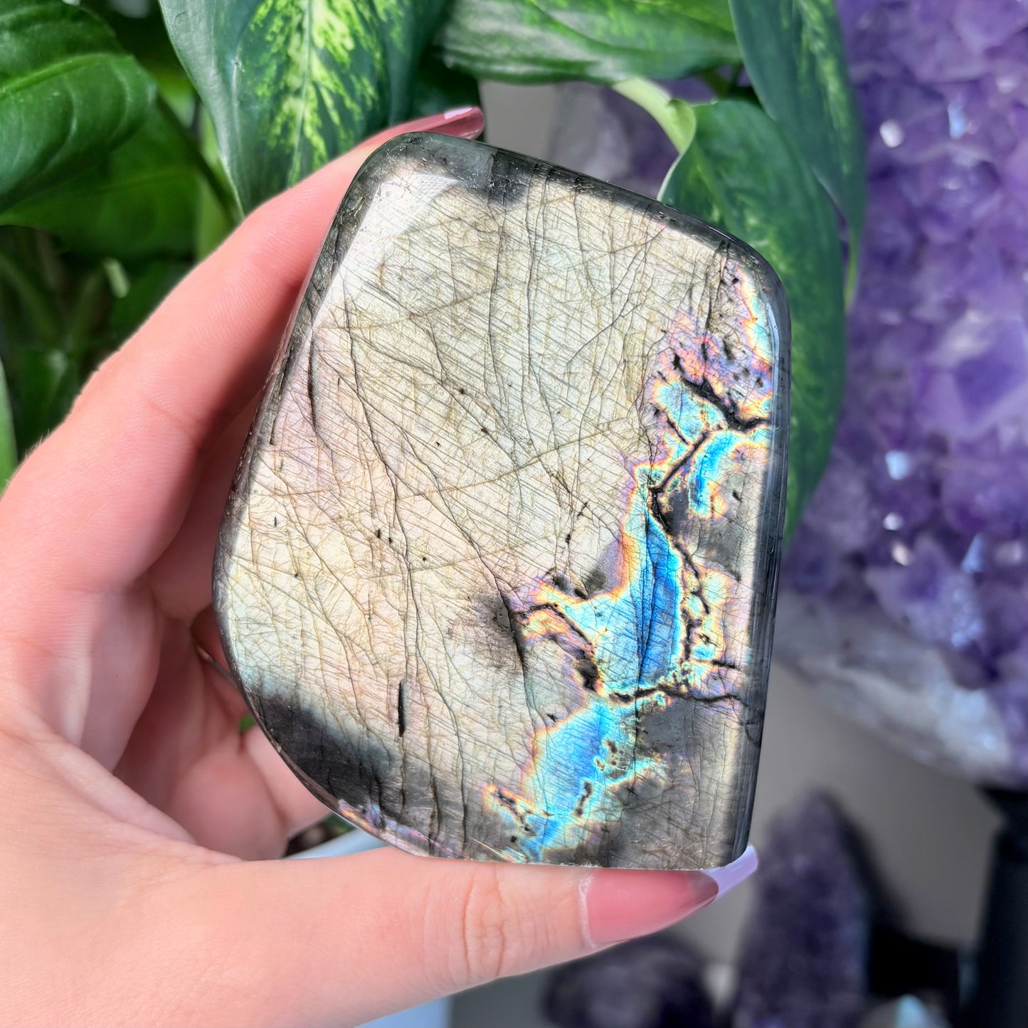 LABRADORITE FREEFORMS