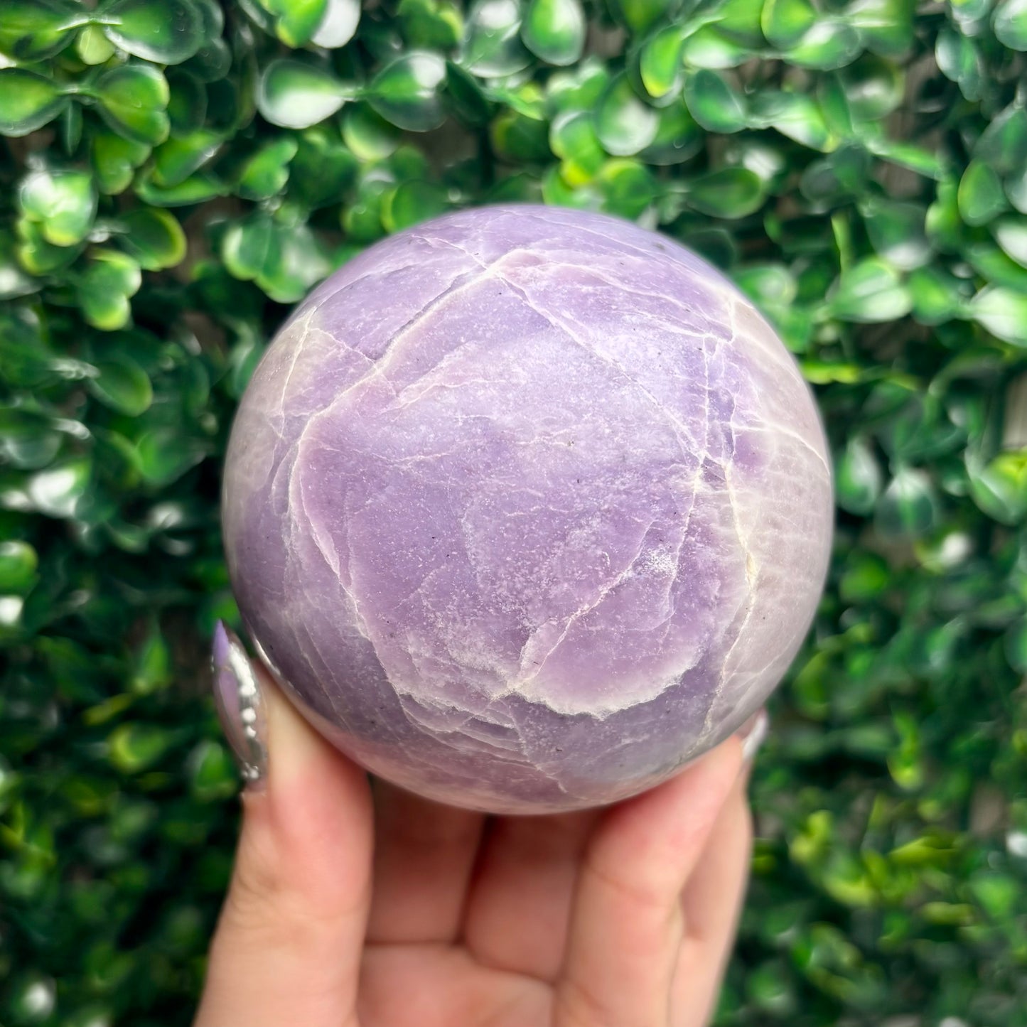 LEPIDOLITE SPHERES