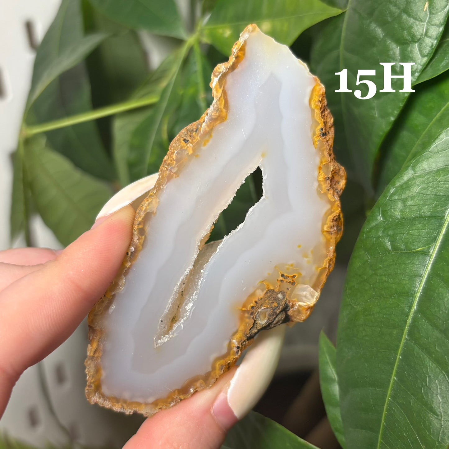 DRUZY AGATE SLABS