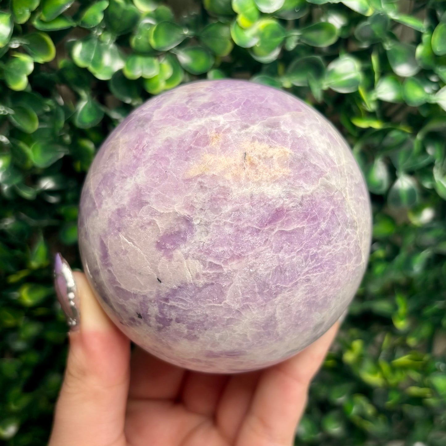 LEPIDOLITE SPHERES