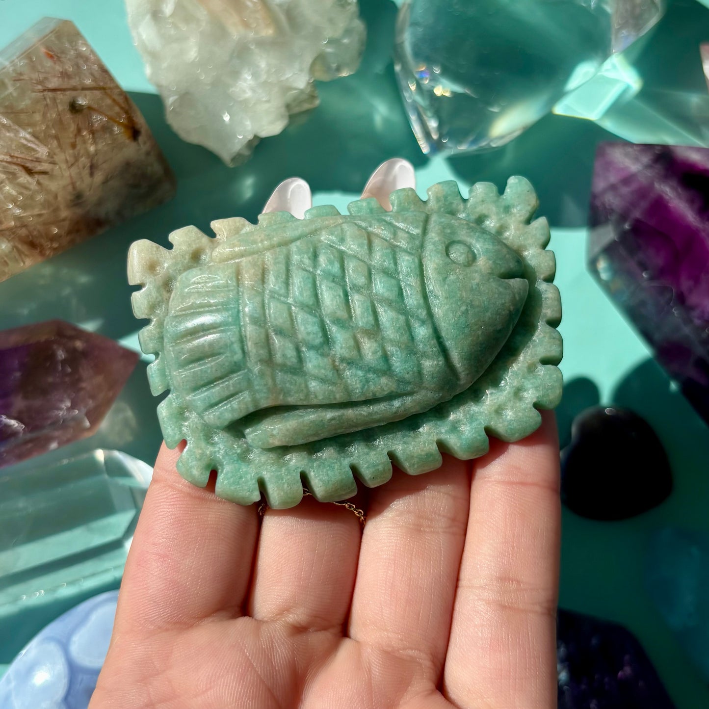 AMAZONITE SEA CREATURES