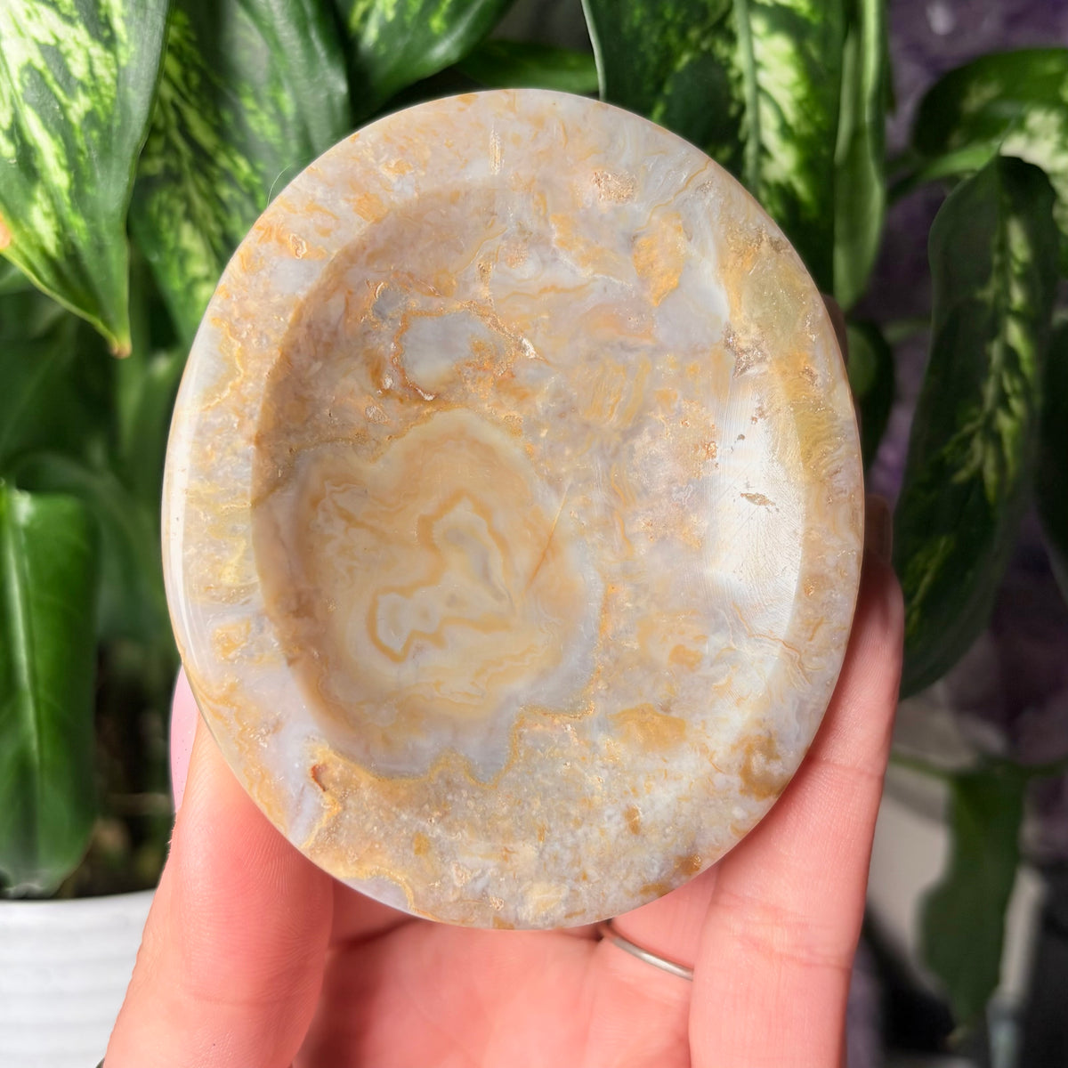 OCEAN JASPER BOWLS