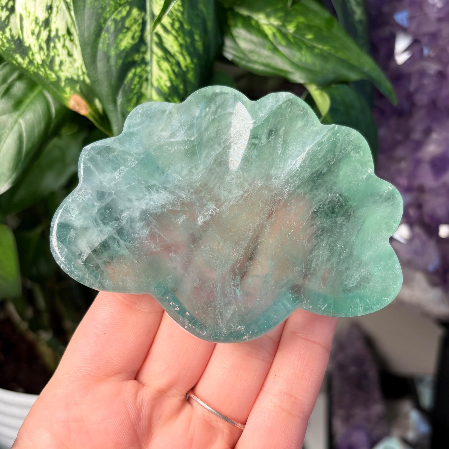 FLUORITE SEASHELL BOWLS