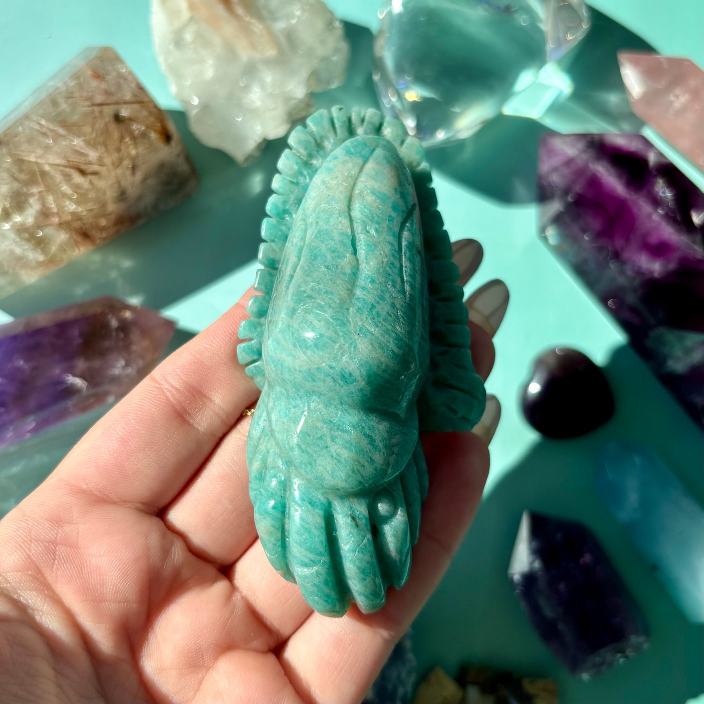AMAZONITE SEA CREATURES