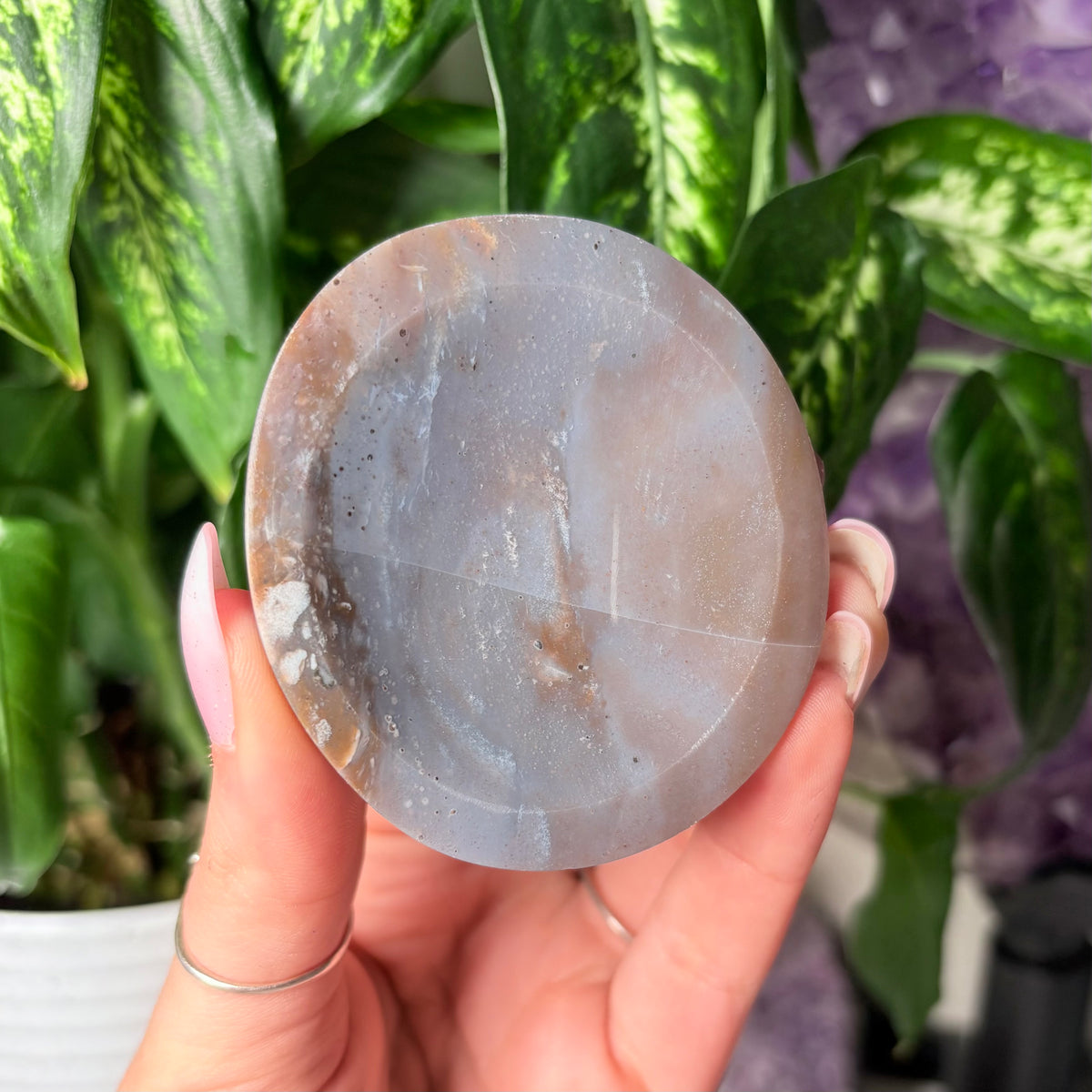 OCEAN JASPER BOWLS
