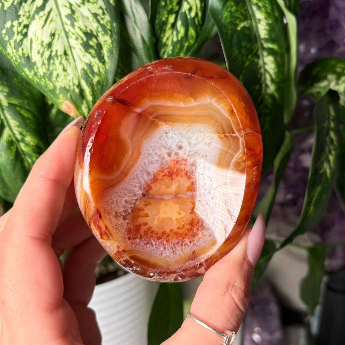 CARNELIAN BOWLS