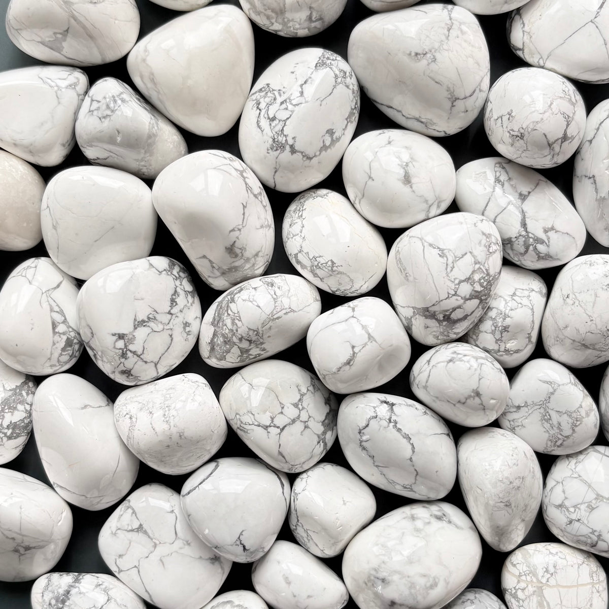 HOWLITE TUMBLE - ROUND