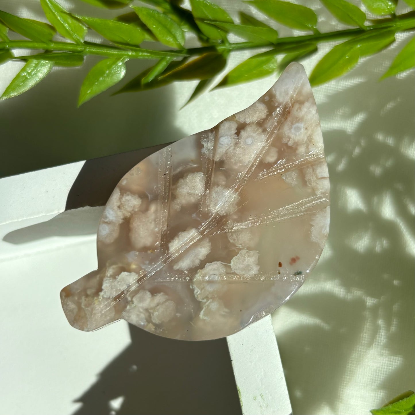 FLOWER AGATE LEAVES