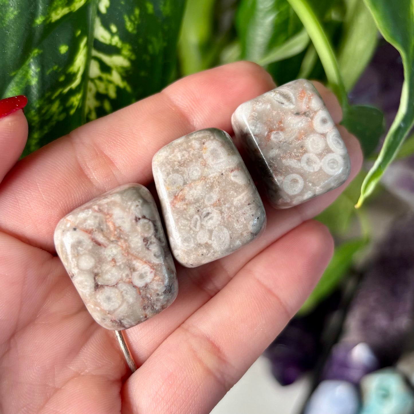 WHITE LEOPARD SKIN JASPER TUMBLE