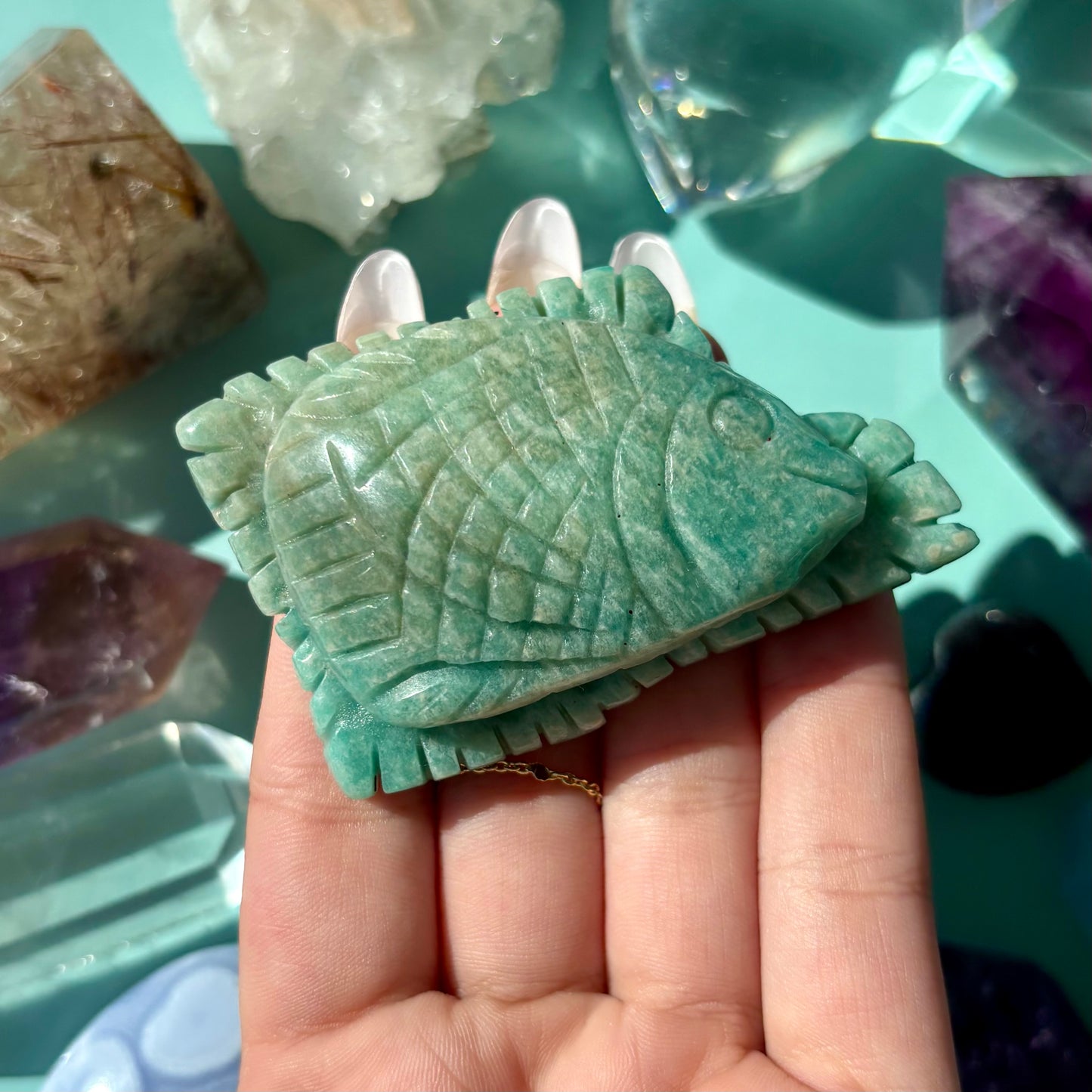 AMAZONITE SEA CREATURES