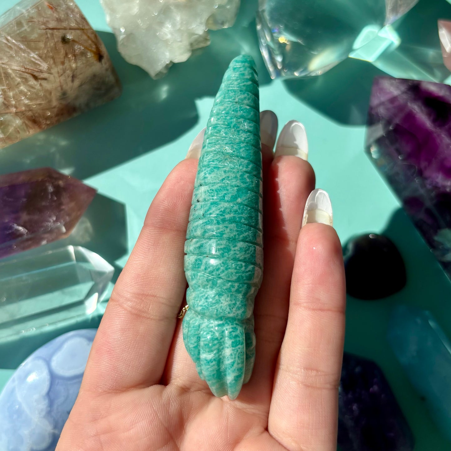 AMAZONITE SEA CREATURES