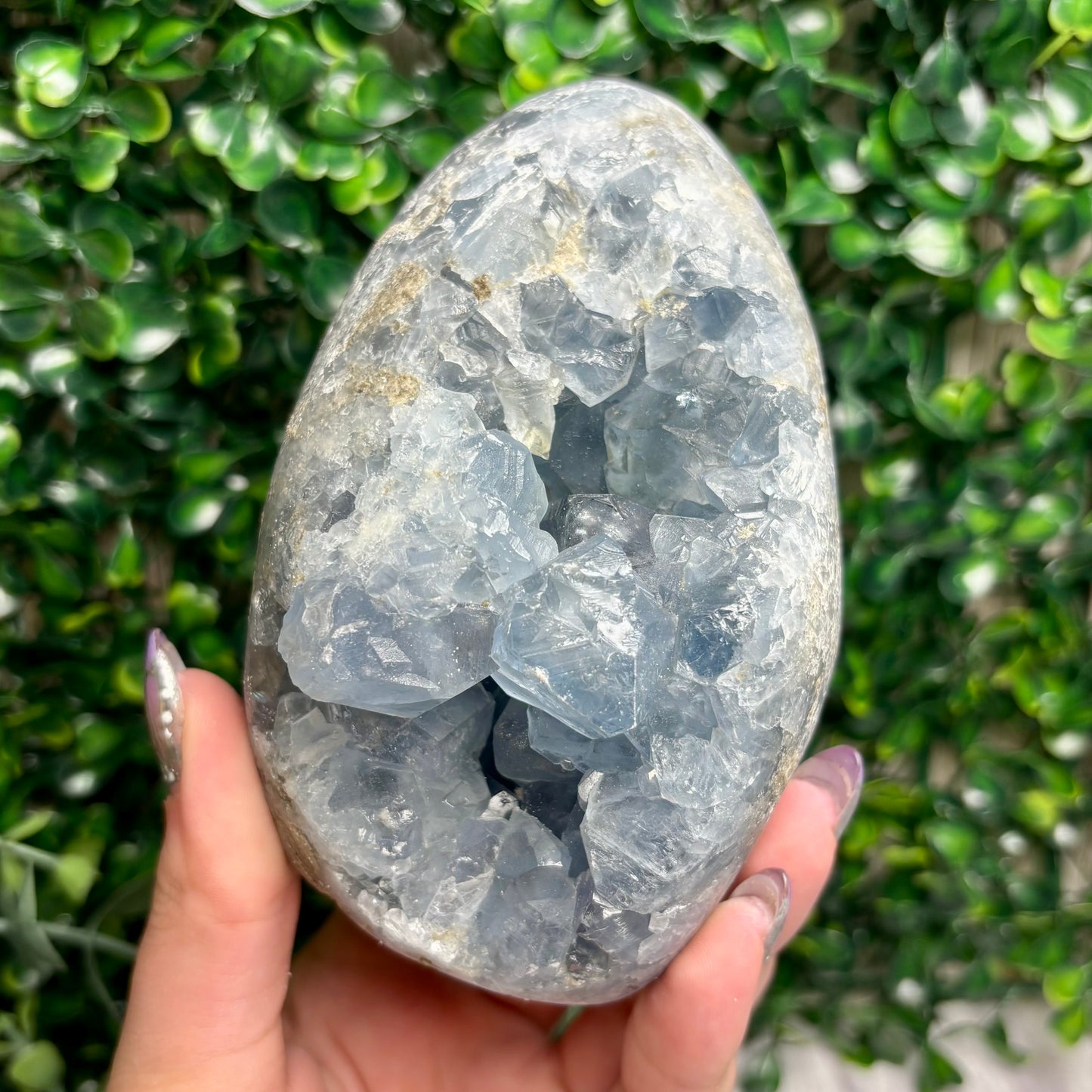 CELESTITE FREEFORMS