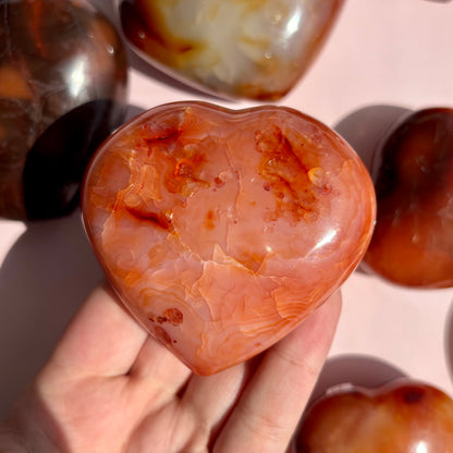 CARNELIAN HEARTS