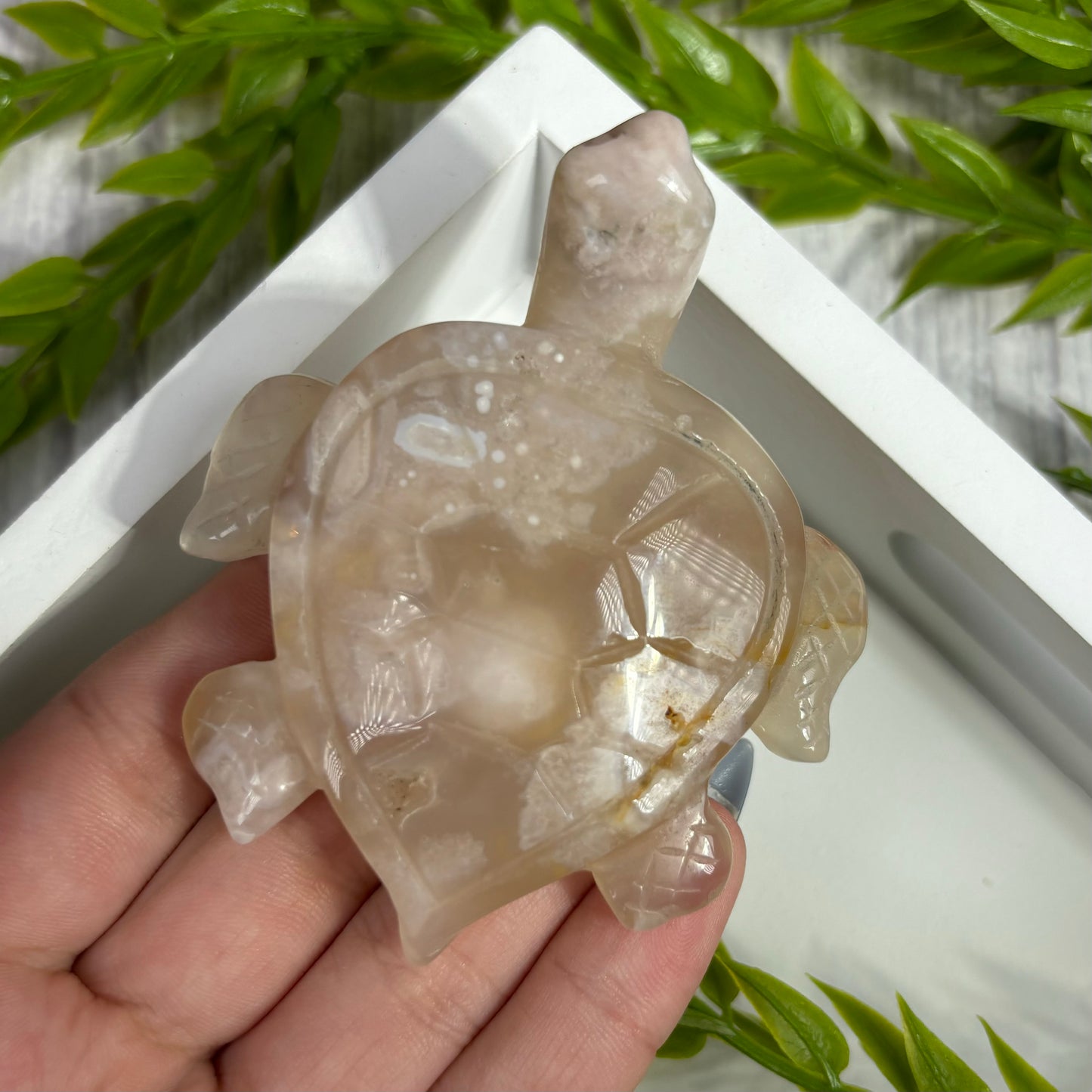 FLOWER AGATE TURTLES