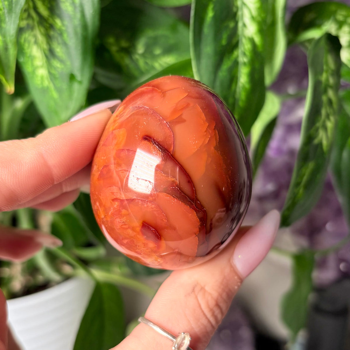 CARNELIAN EGGS